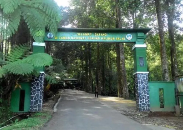 Villa Bidadari Bogor